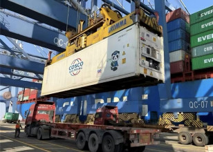 COSCO SHIPPING Introduces Enhanced Cold Chain Solutions for Fresh Deliveries
